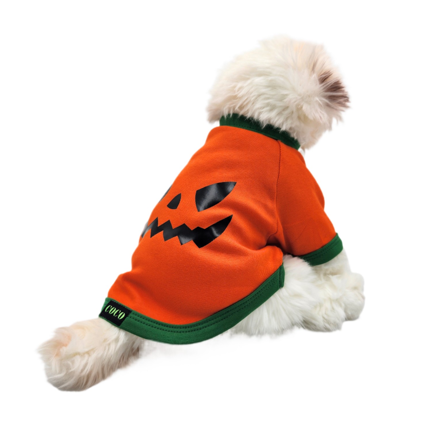 Coco Pets Fashion Halloween T-Shirt Small